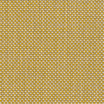 19 Out of Promotion*