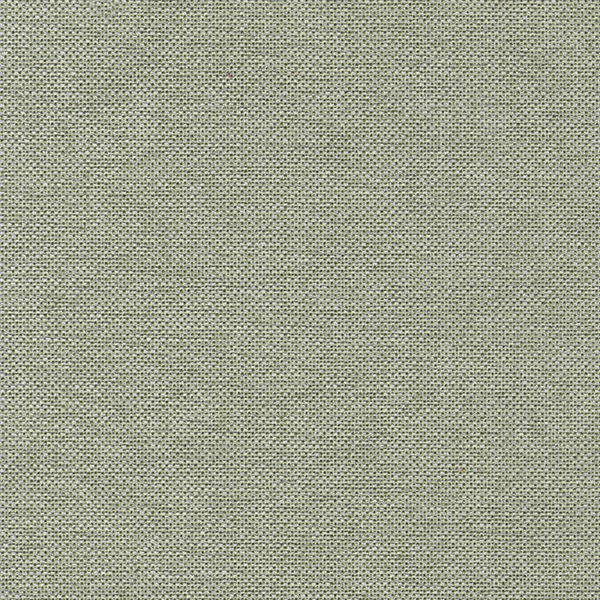 39 Fuera de Promoción*