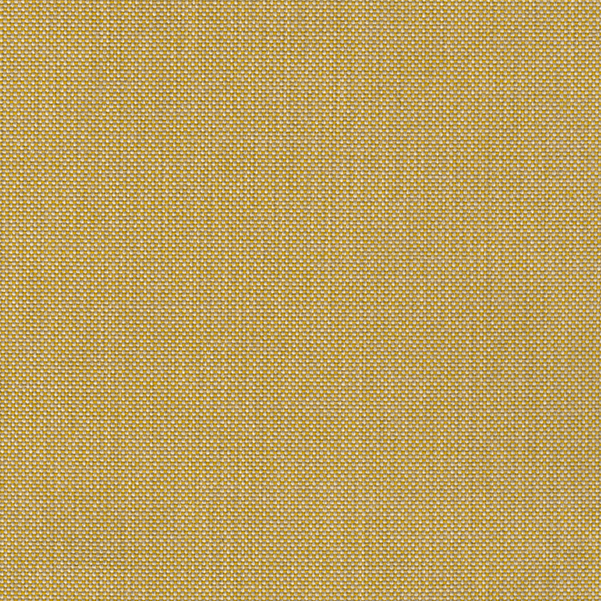 19 Out of Promotion*