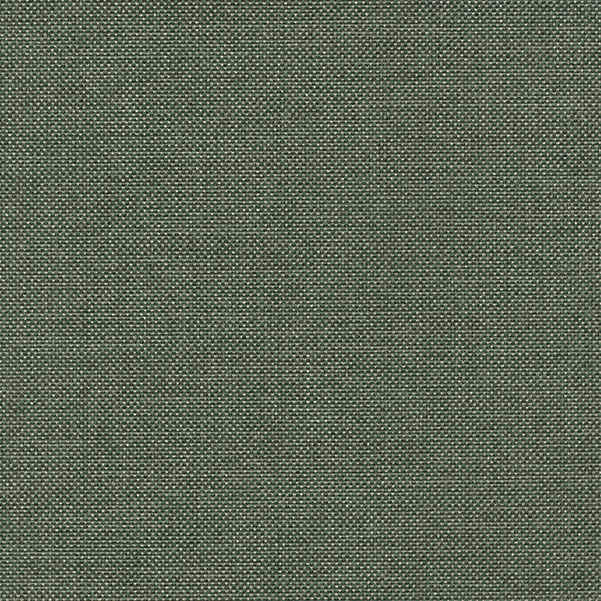 37 Out of Promotion*